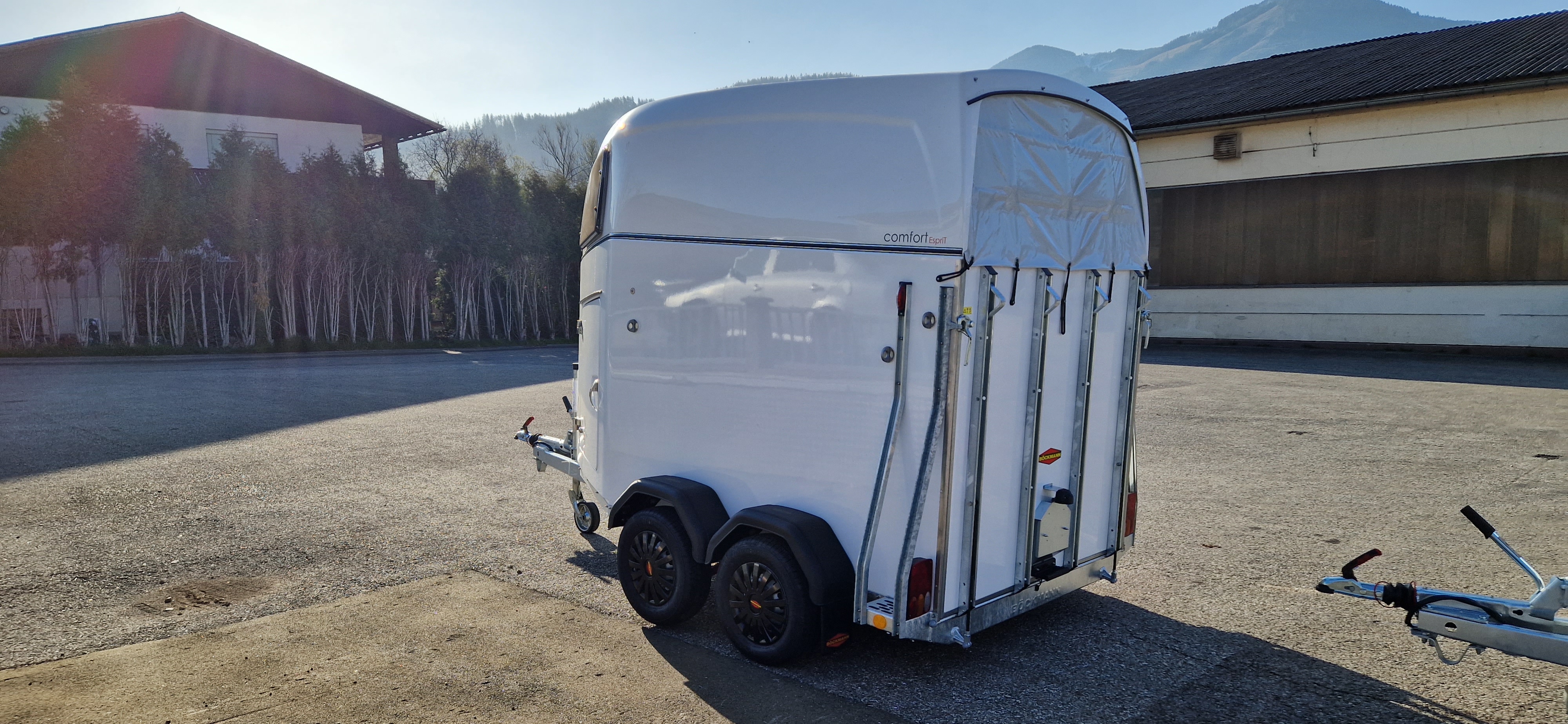 Pferdeanhänger Böckmann Comfort ECO, Vollpoly 2400 kg Gesamtgewicht